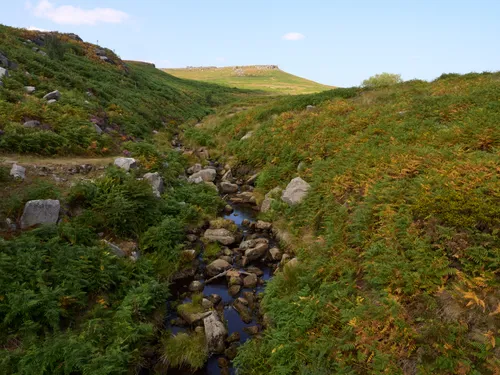 This landscape photograph captures a scenic afternoon in late summer in the Peak District, England, within the Longshaw Estate. The main subject of the image is a stream, which winds its way through lush green and slightly golden vegetation, reflecting the water and rocks that line its course. In the distance, the distinctive plateau of Higger Tor rises, providing a recognizable landmark against the blue sky. Situated in the United Kingdom, this area is well known for its natural beauty, and the gently sloping hills with vibrant flora showcase the transition from summer to autumn. Streams like the one pictured are characteristic of the region, adding to the tranquil atmosphere and highlighting the water features of the Peak District near Higger Tor.
